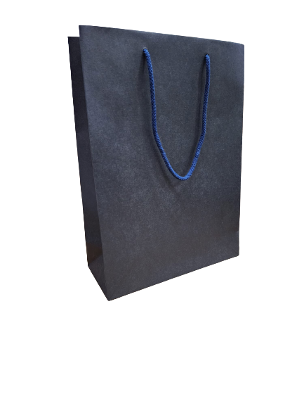 Fancy Paper Bag (Blue)