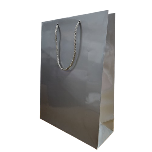 Fancy Paper Bag (Silver) - Gloss