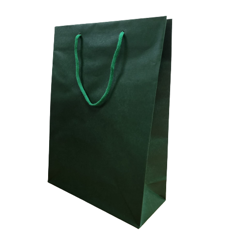Fancy Paper Bag (Green) 