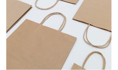 Brown Kraft Paper Bags with Twisted Paper Handles